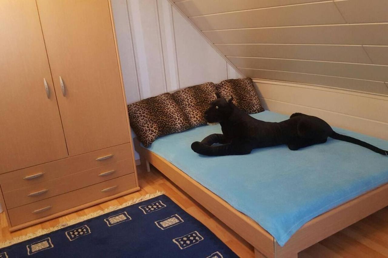 Accommodatie bij particulieren 5 Minutes From The Fair *